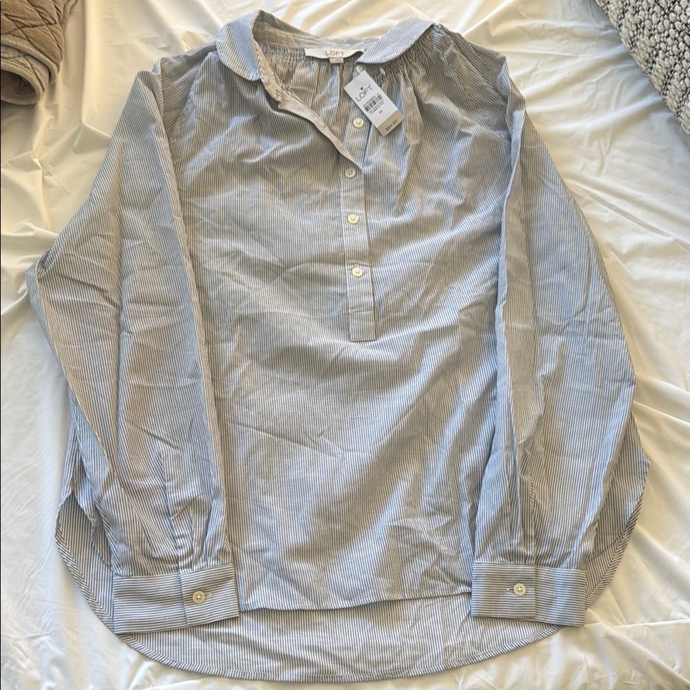 Classic Blue Striped Button-Down Shirt